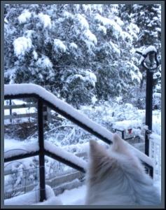 snow scene